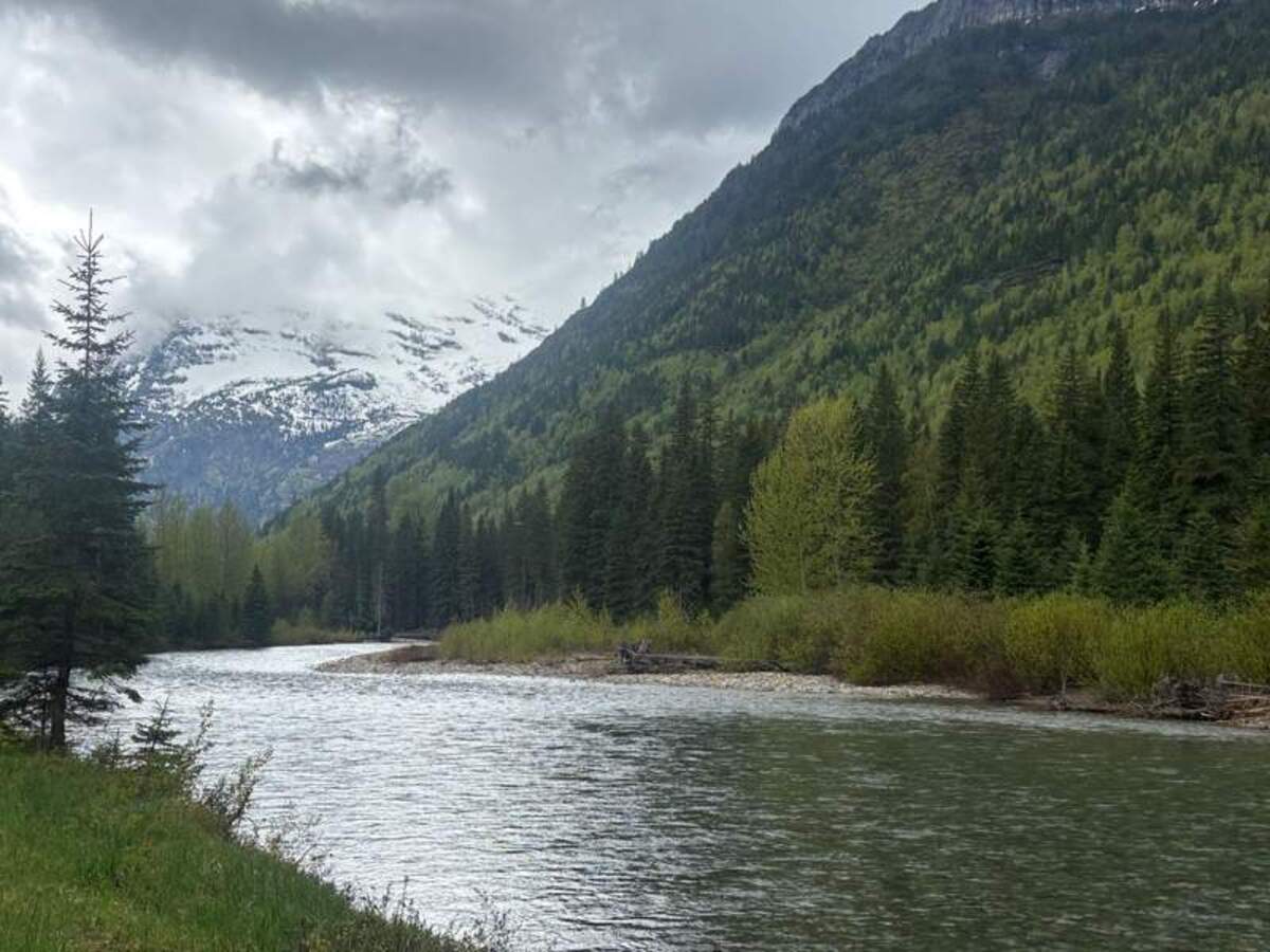  The Flathead River, near the northwest entrance to Glacier National Park. Photo credit: Judy Antell 