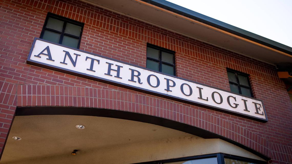 This Anthropologie Embroidery Kit Lets You Stitch Your Favorite Dog Breed-and It's Beginner Friendly 