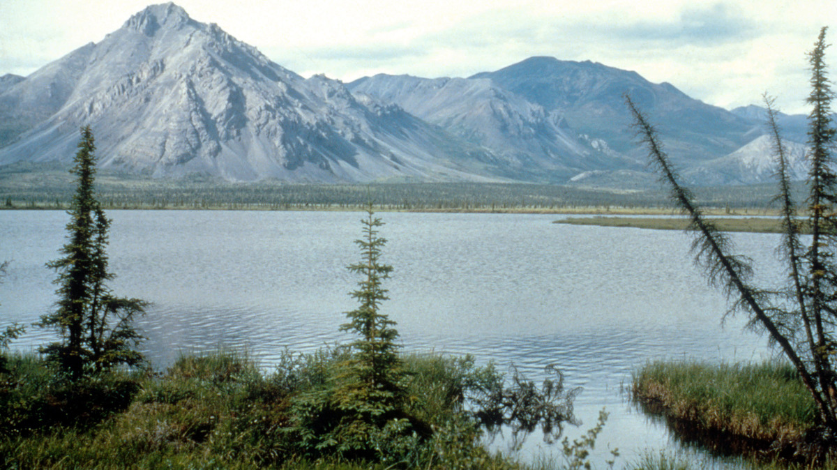 This undated photo shows the Arctic National Wildlife Refuge in Alaska. The Trump administration will soon offer leases to oil and gas companies in the Arctic National Wildlife Refuge, angering critics who say efforts to drill there will face court challenges.