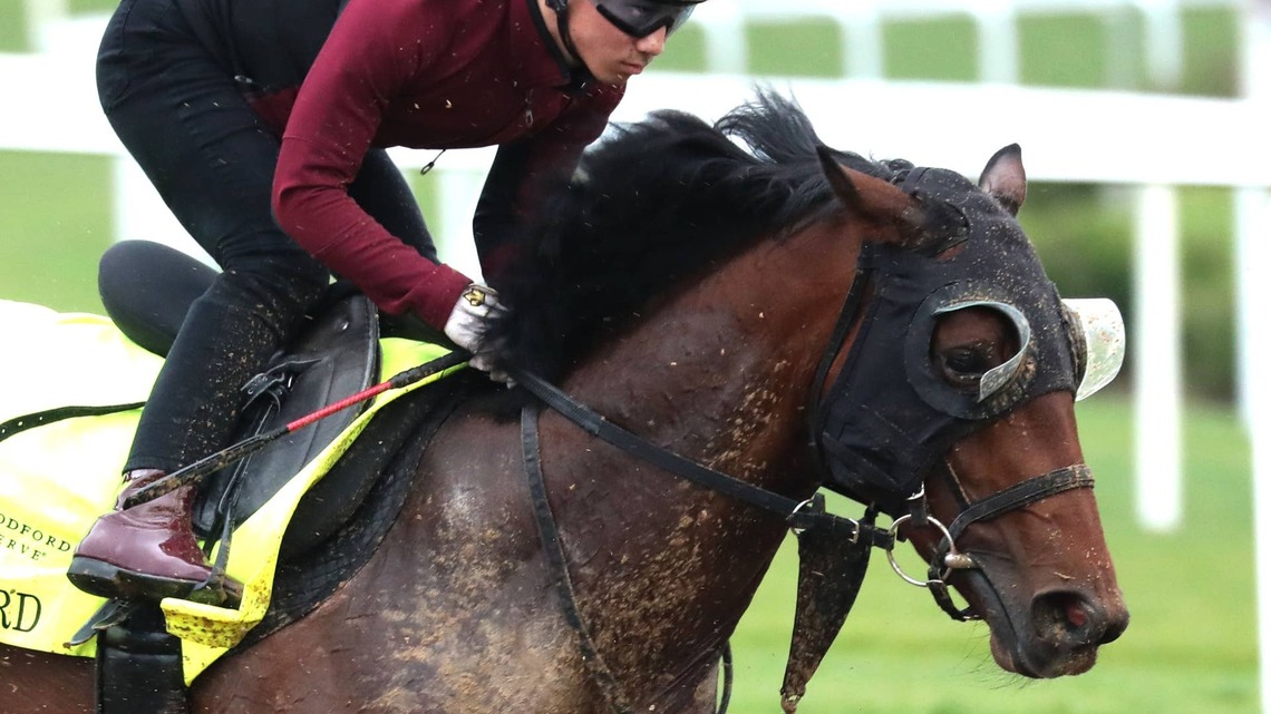 2024 Kentucky Derby Starter T O Password Eyes Breeders' Cup Dirt Mile 