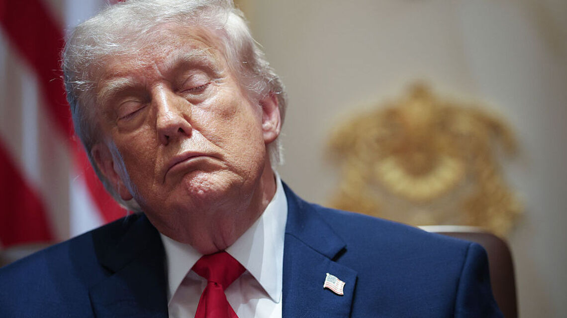 How Democrats plan to rein in Trump should they win in November 