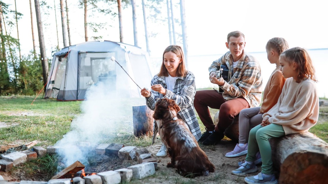 These Are the 9 Best Places in the U.S. to Camp With Your Dog, According to the Dyrt's 2026 Rankings 