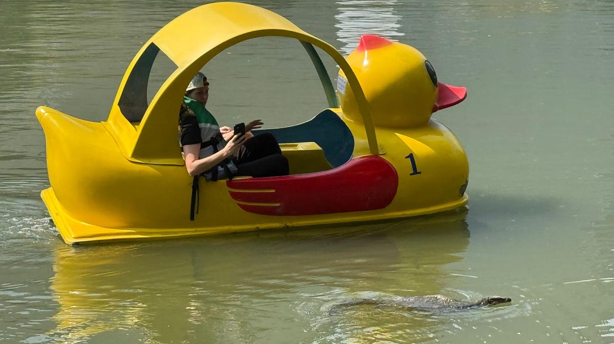 Tourists observe monitor lizards from a pedal boat in Lumphini Park in Bangkok.