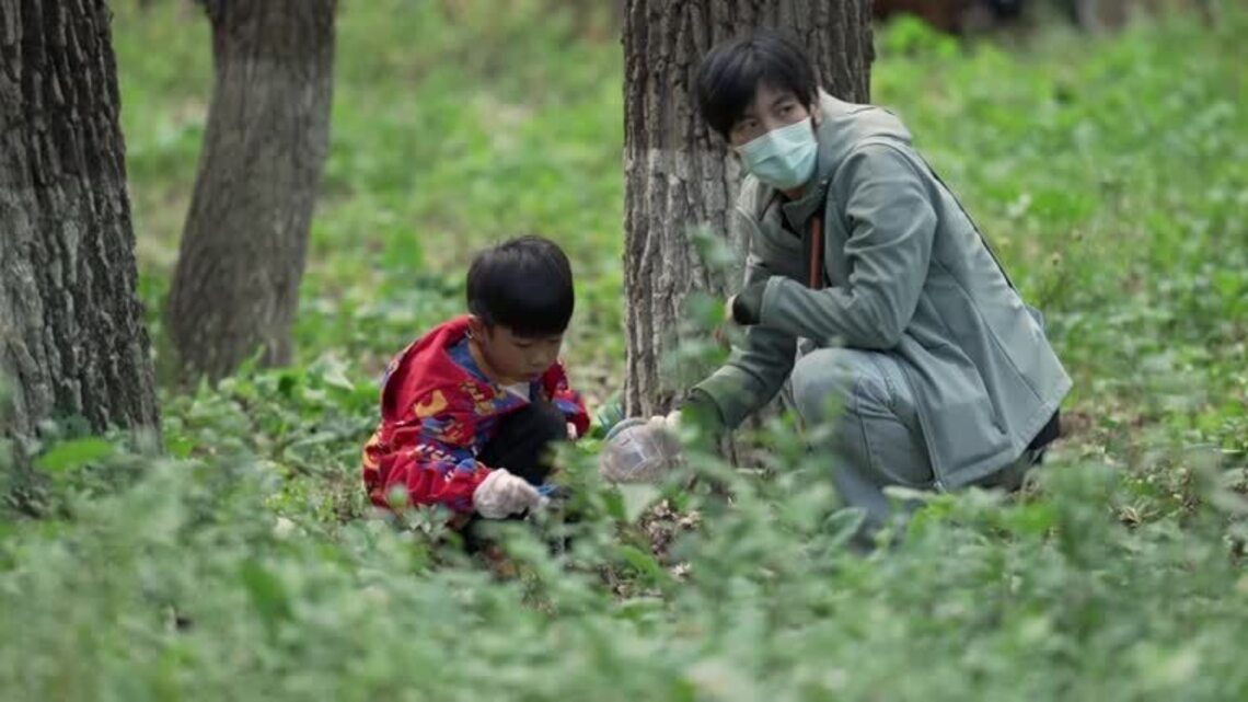 Beijing park's holiday caterpillar hunt targets 'forest food monster' 