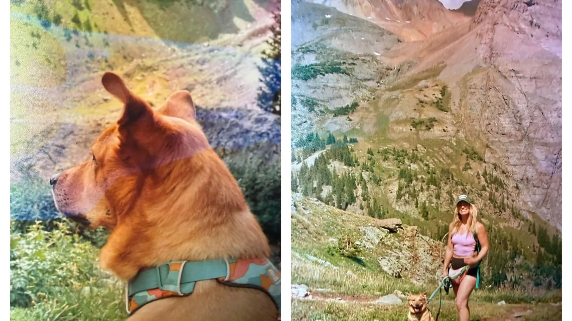 She thought her vacation photos were gone for good. Then a stranger found her film 