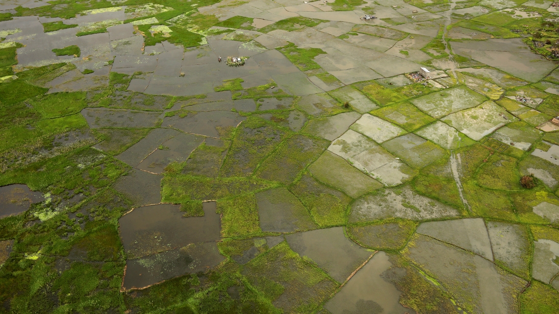 Africa facing $10-$20 billion economic hit from 'super' El Niño, AfDB climate chief warns 