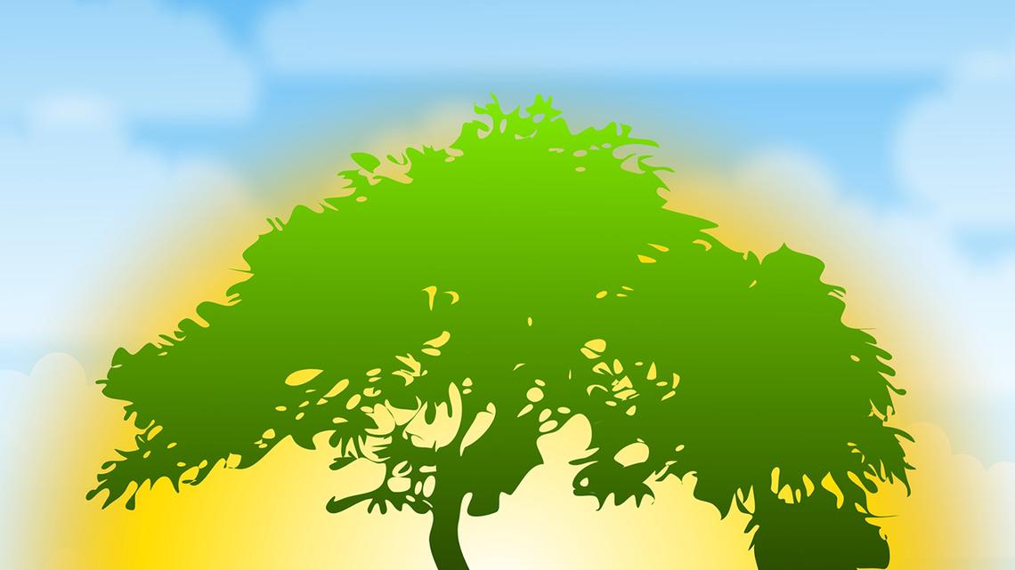 Nations that resist climate education, whether out of political ideology or short-term industrial loyalty, risk producing a workforce unprepared for where capital and innovation are heading, writes Kathleen Rogers. (Dreamstime/TNS)