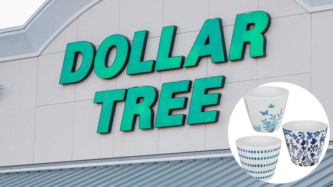 Dollar Tree Coastal Grandmother Aesthetic