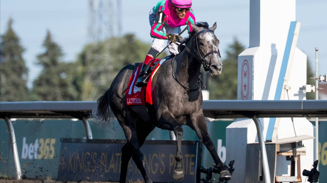 'I Knew She Was Very Special': Luster Delivers Dominant King's Plate Performance 