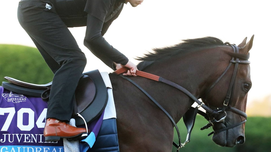 Juvenile Contender Gaudreau Scratched; Zulu Kingdom (Mile), Induction (Juvenile Turf) Also Out 