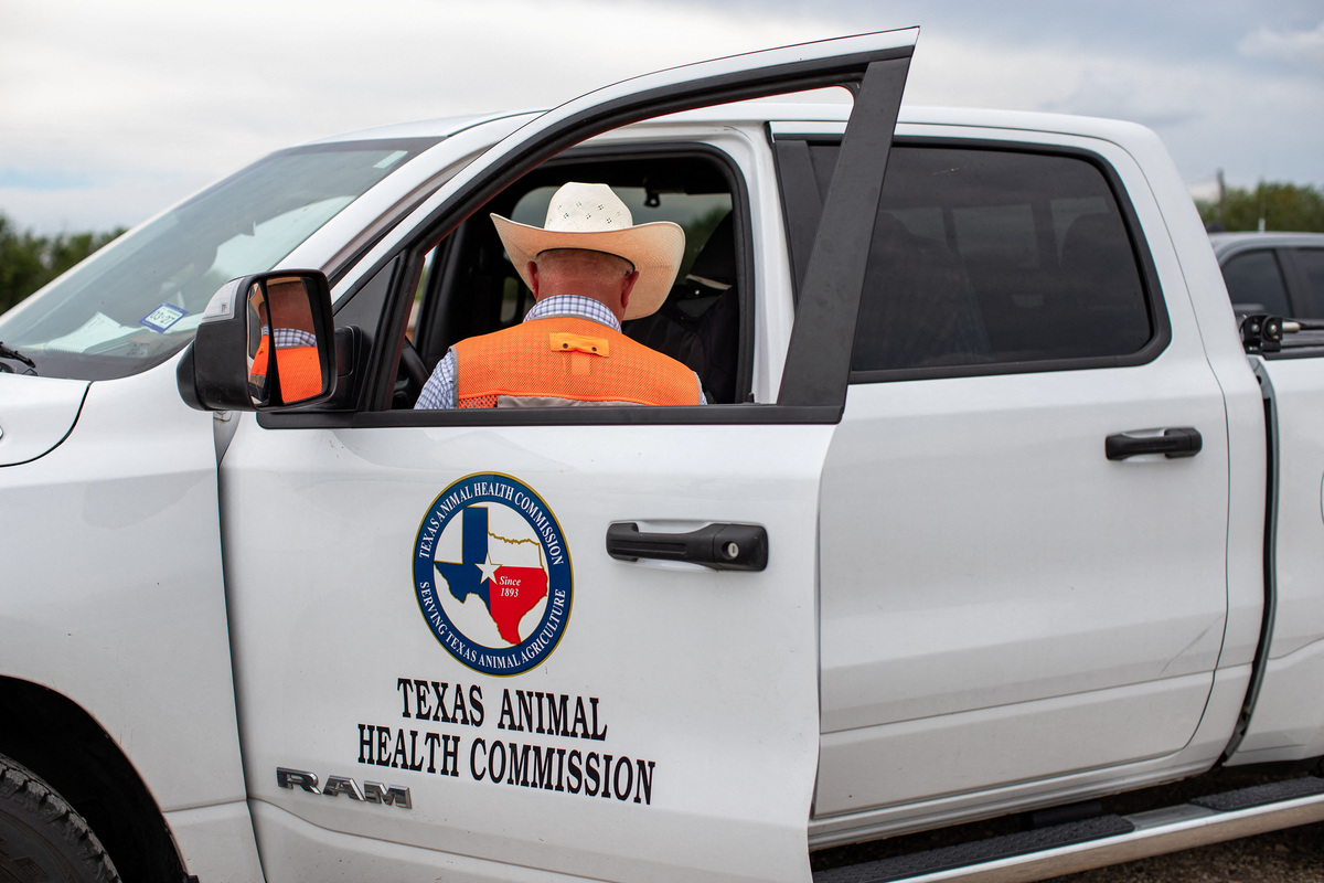 Tuffy, a Texas Animal Health Commission representative prepares a survey and informational handout at a livestock screening checkpoint on highway 57, a day after the U.S. Department of Agriculture confirmed that New World screwworm was detected in a Texas calf, in Batesville, Texas, U.S., June 4, 2026.  REUTERS/Kaylee Greenlee