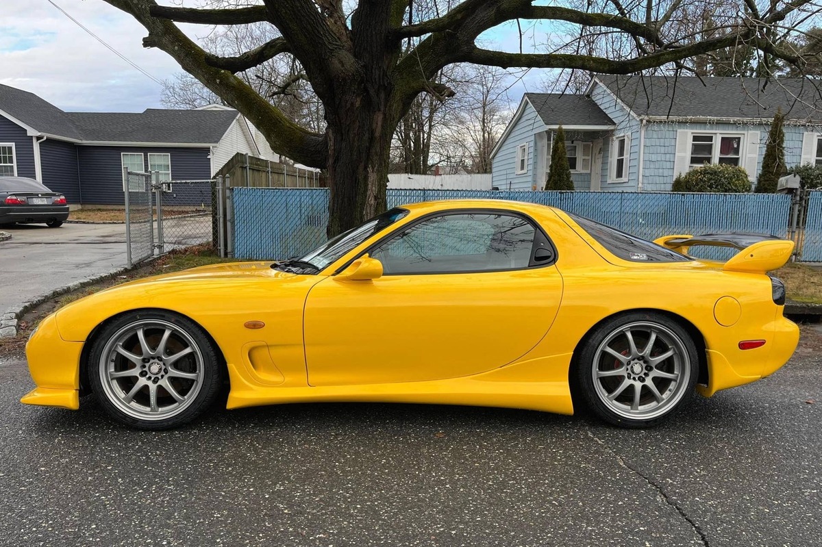 Cars and Bids