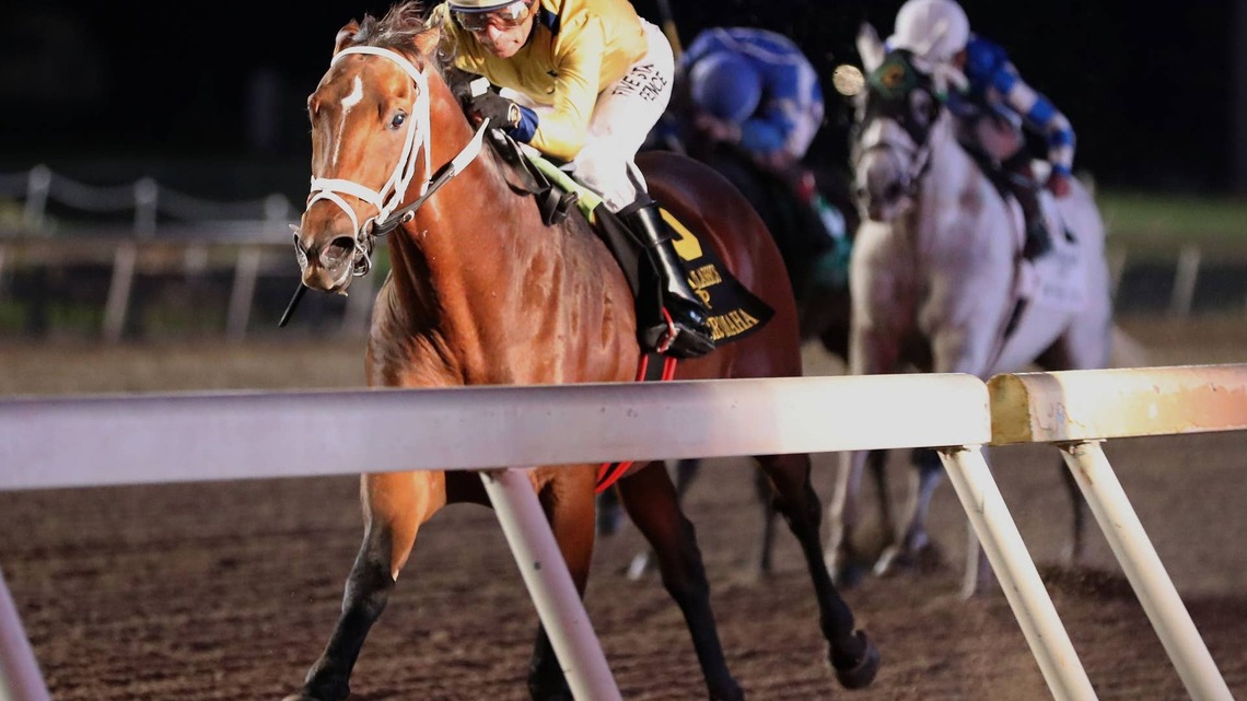 Mister Omaha Streaks To Oklahoma Classics Cup Repeat 