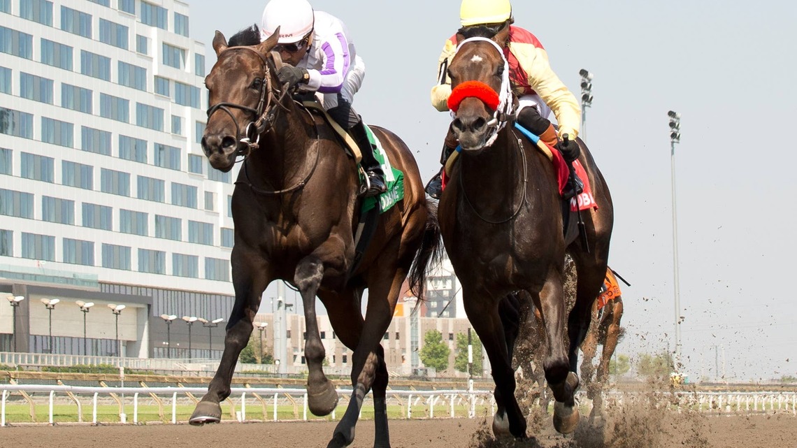 Stakes-Placed Titan Ready Tries To Break Maiden In Skidmore 