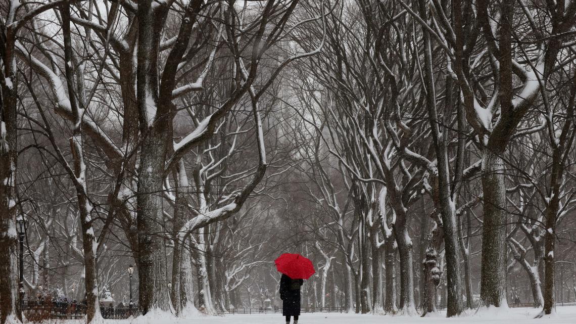 Winter Storm Warning Map Shows Every State's Valentine's Day Weather 