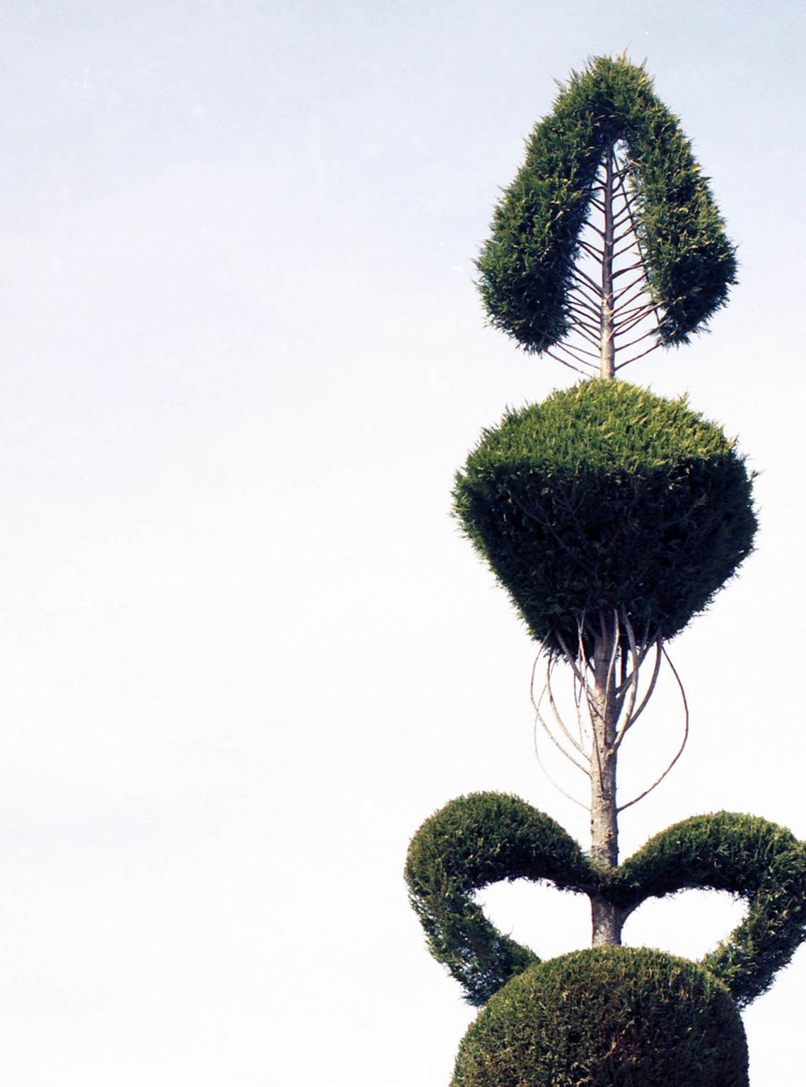 FILE -- Pearl Fryar's 25-foot "fishbone" sculpture was created from a Leyland cypress in Bishopville, S.C., on March 9, 2005. Fryar, a charismatic factory worker and self-taught topiary artist who turned a former cornfield in South Carolina into a world-famous garden featuring shrubs and trees that he coaxed into towering Seussian swirls, enticing Cubist forms and other uncanny shapes, drawing pilgrims from around the globe and raising the fortunes of his small community, died on Saturday, April 4, 2026, at his home in Bishopville, S.C. He was 86. (Imke Lass/The New York Times)