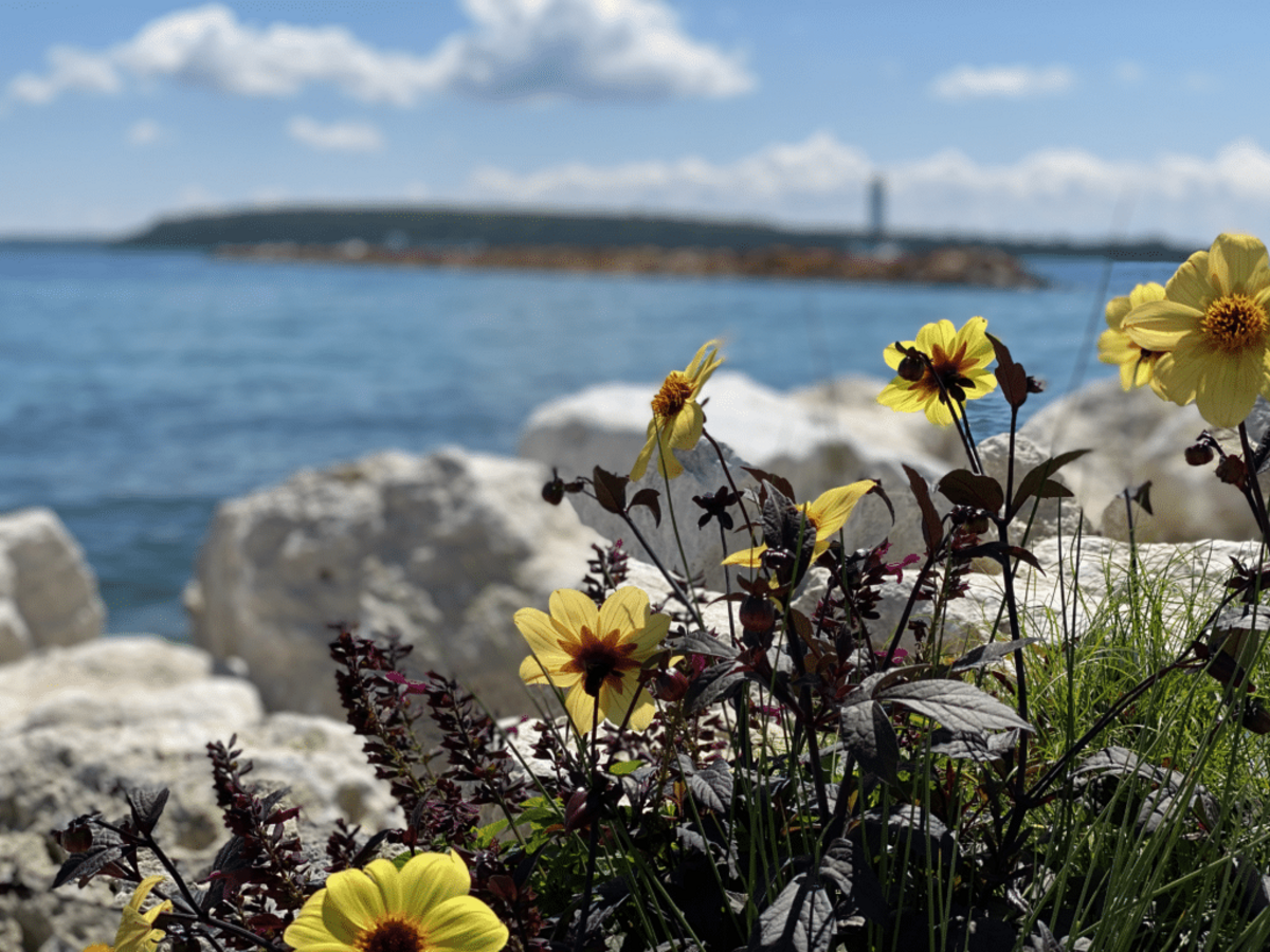  Once you get to Mackinac Island, look out over Lake Huron and relax. Photo credit: Kristin Shaw 