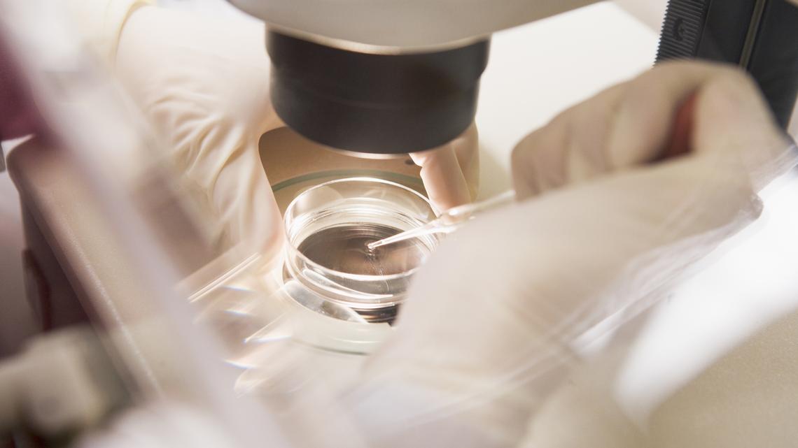 Embryo mix-up: Central Florida couple confirms ID of baby's genetic parents 