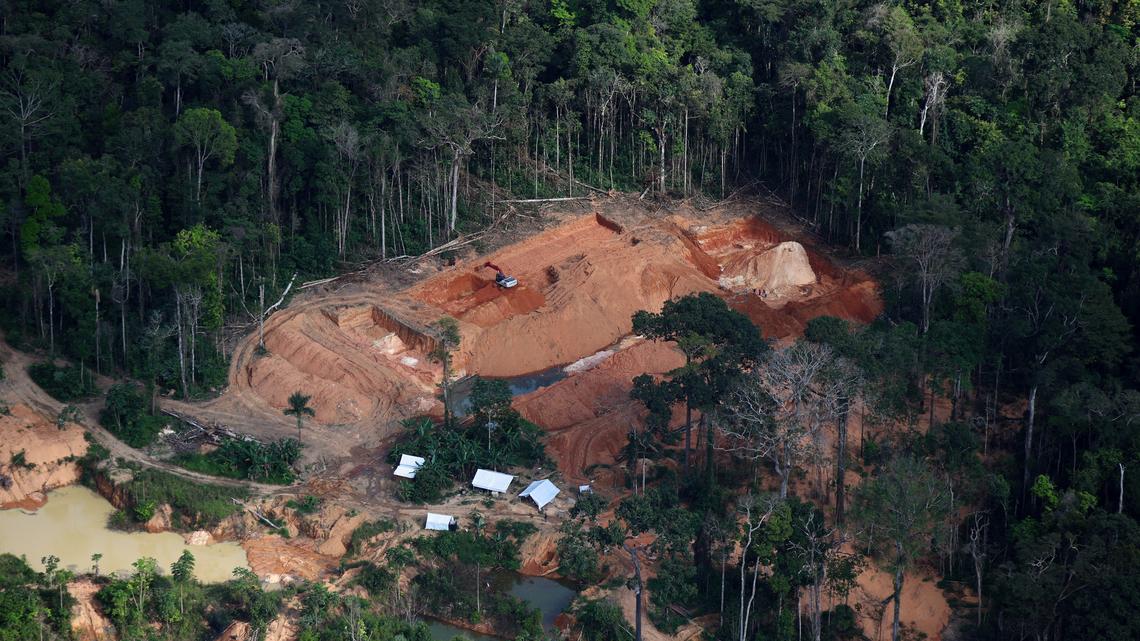 Illegal miners extract billions in Amazon gold despite Brazil crackdown, Greenpeace finds 