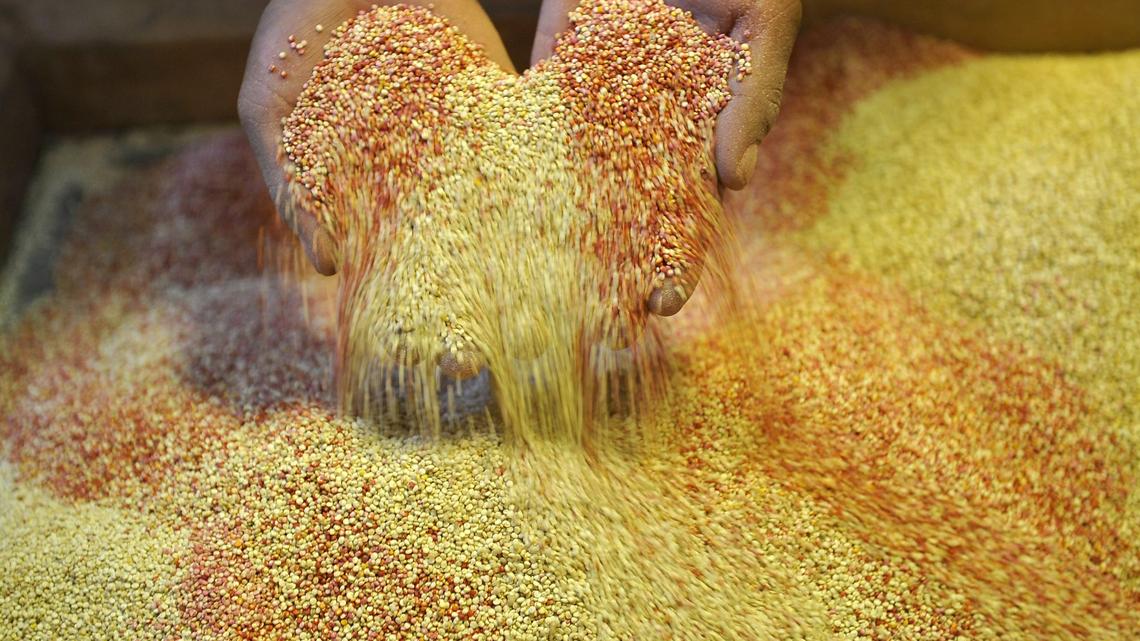 Heritage Grains Are Back: Ancient Staples Everyone Is Eating 