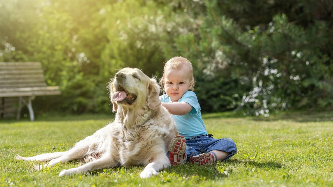 Mom Thinks She's Recording a Sweet Moment Between Her Son and Dog, but It Takes a Turn 