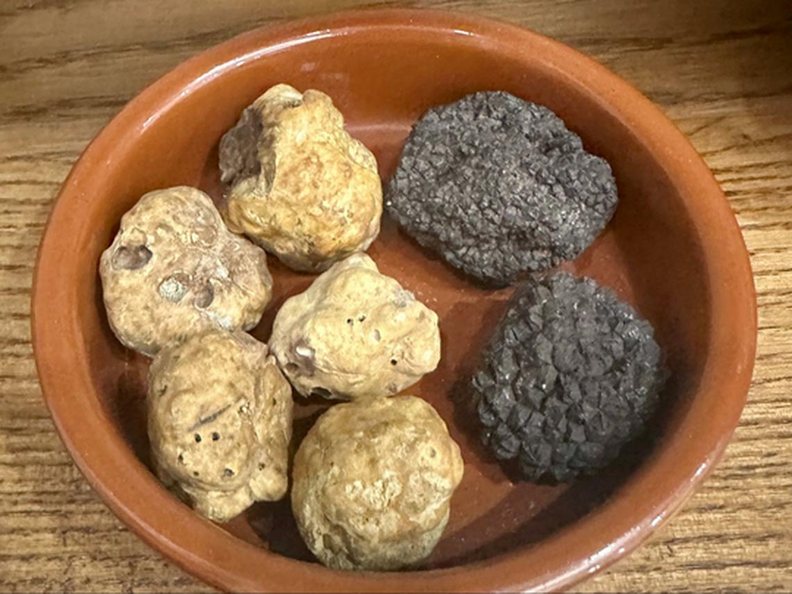 White and black truffles found at Karlic Tartufi. Photo credit: Barbara Redding