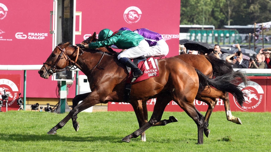 Dual Arc Winner Daryz Retired To Aga Khan Studs For 2027 
