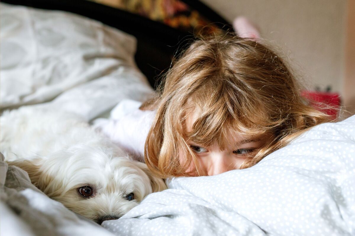  A stock image of a young girl in bed next to a puppy. 