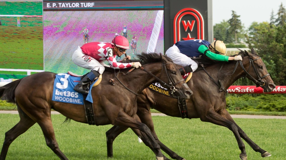 Smart Purchase: Power of Destiny Looks To Deliver In Canadian Stakes 