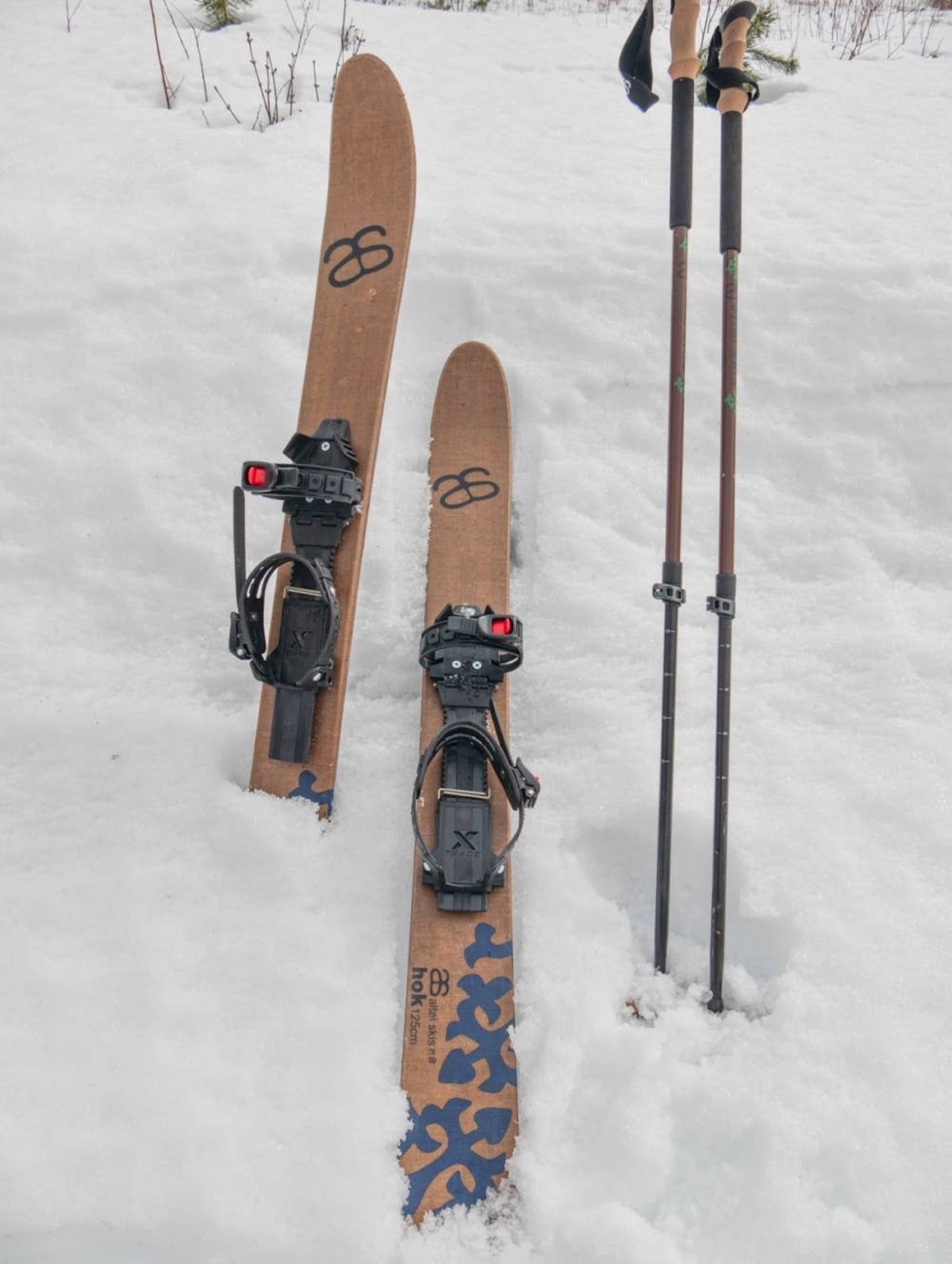  Altai skis.