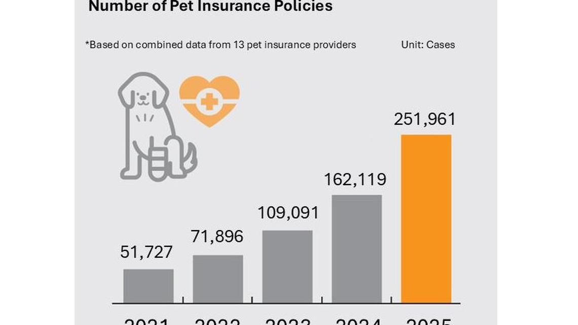 South Korea pet insurance market grows but uptake remains low 