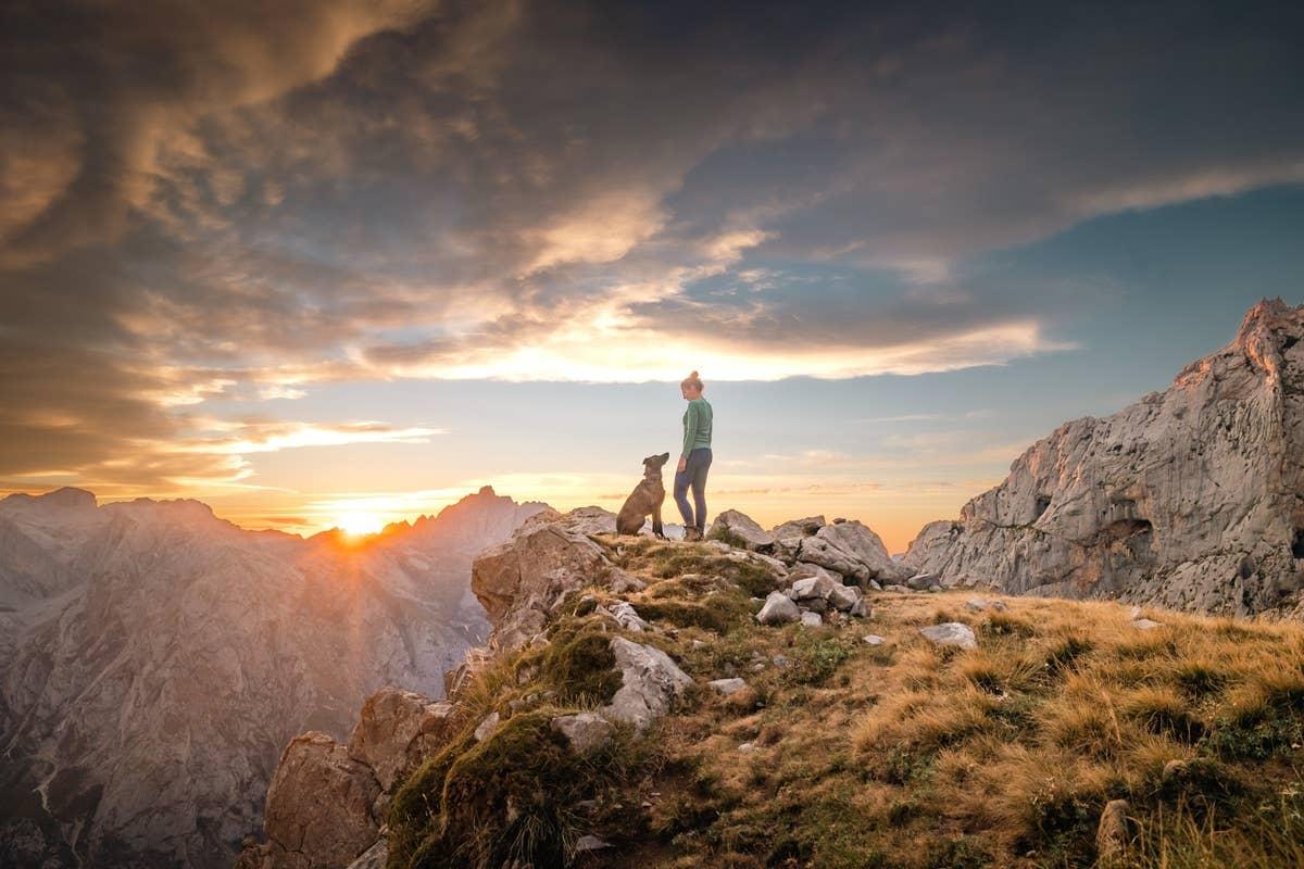  A dog who holds divine energy standing on a mountain.