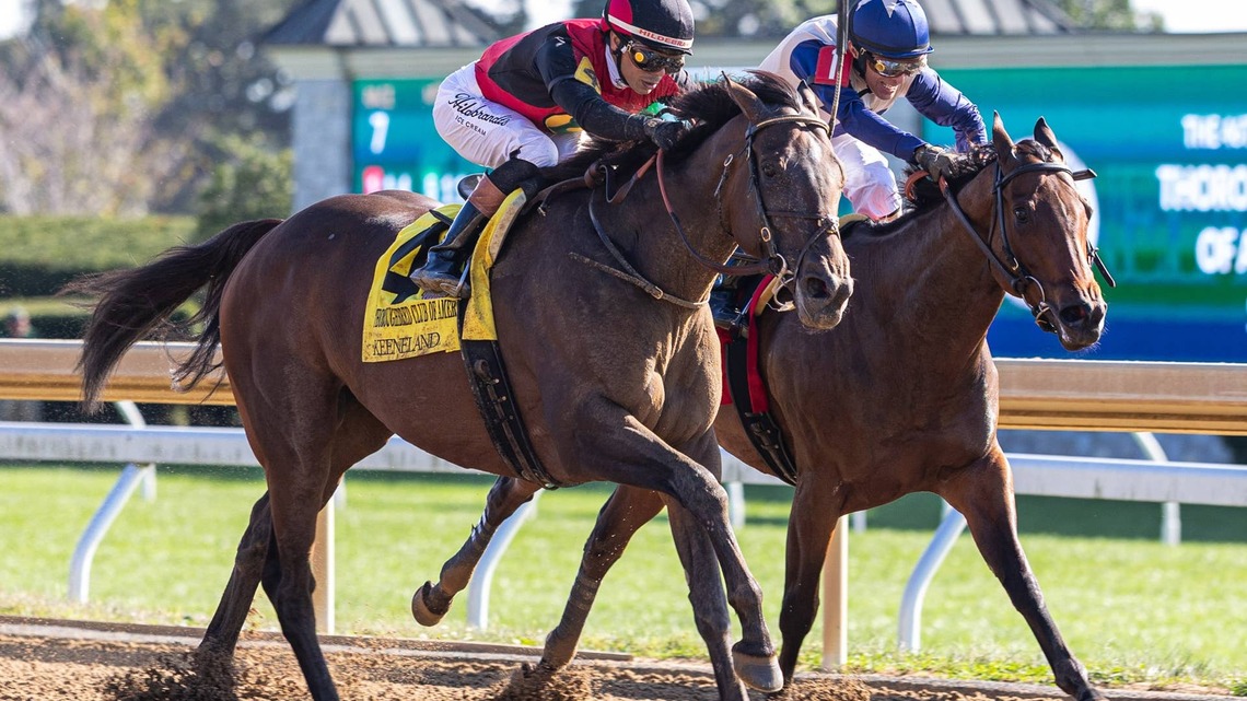 'We Live To Take A Shot': Evanescence Rekindles Breeders' Cup Dreams For Green Lantern Stables 