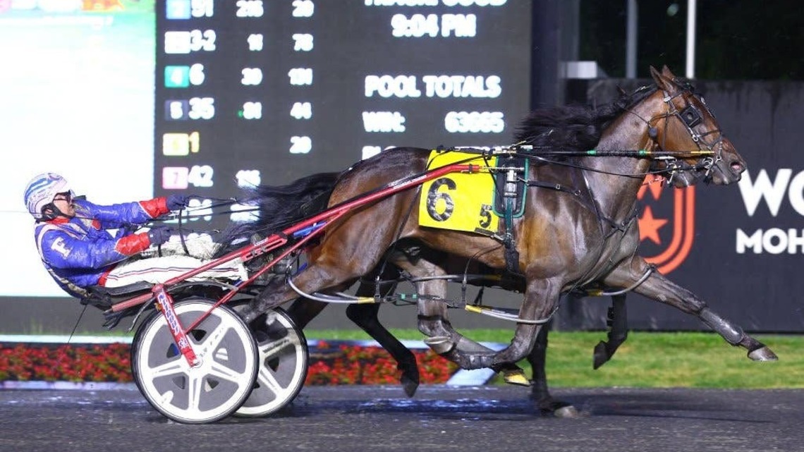 Top Canadian Harness Trainer's Doping Suspension Reduced Despite Finding He Failed To Supervise Horse 