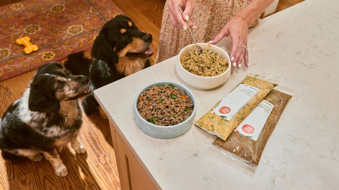 Before fall gets busy, save 50% on personalized dog food delivery 