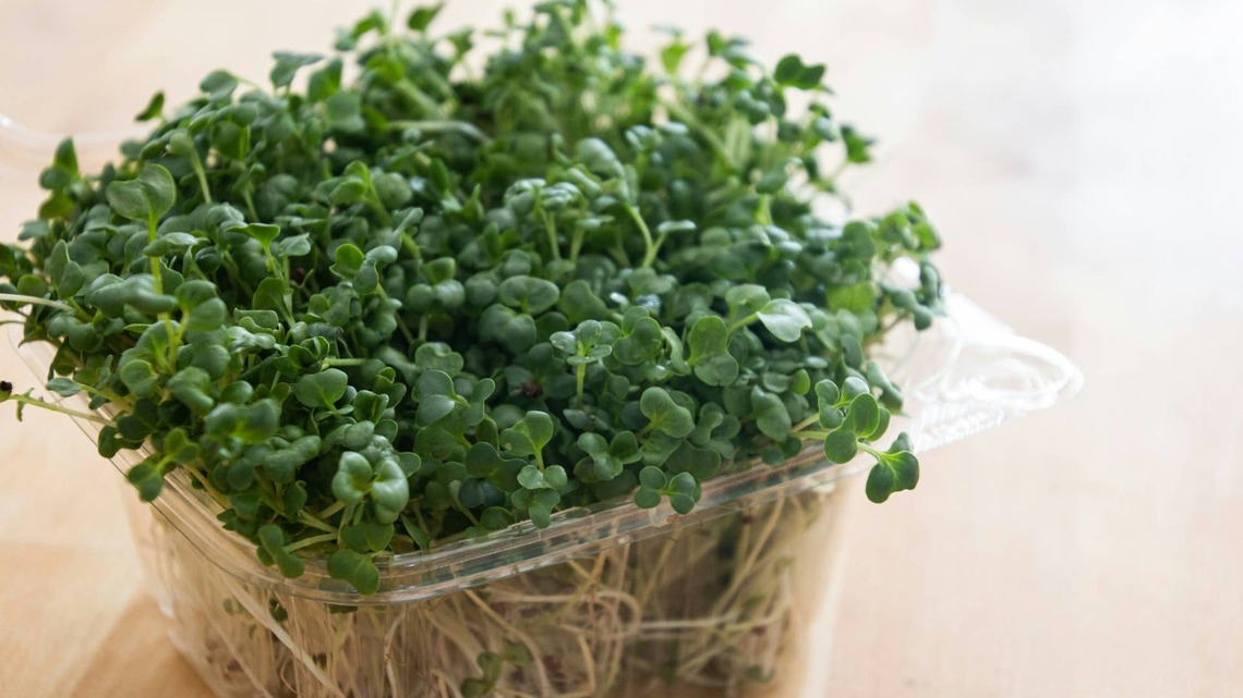 Alfalfa Sprouts Recalled Due to Bacteria Causing Nausea and Bloody Diarrhea 