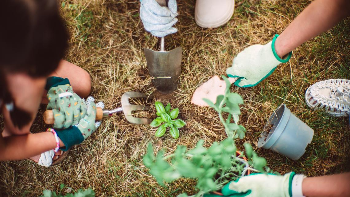Get Your Spring Garden Ready With These 16 Gardening Tool Kits Under $30 on Amazon 