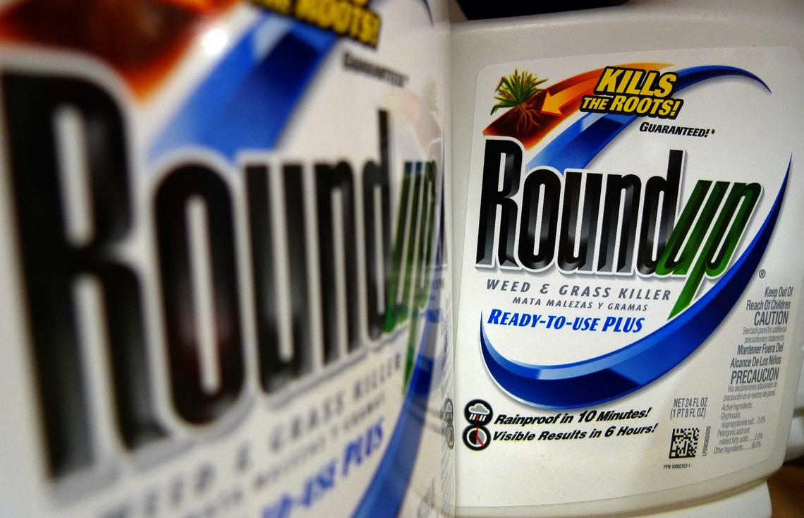  File photo: Bottles of Roundup herbicide, a product of Bayer, are displayed on a store shelf. 