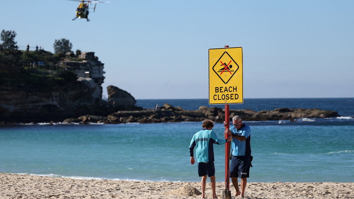 Shark attack pushes Australian state to review drone curbs 