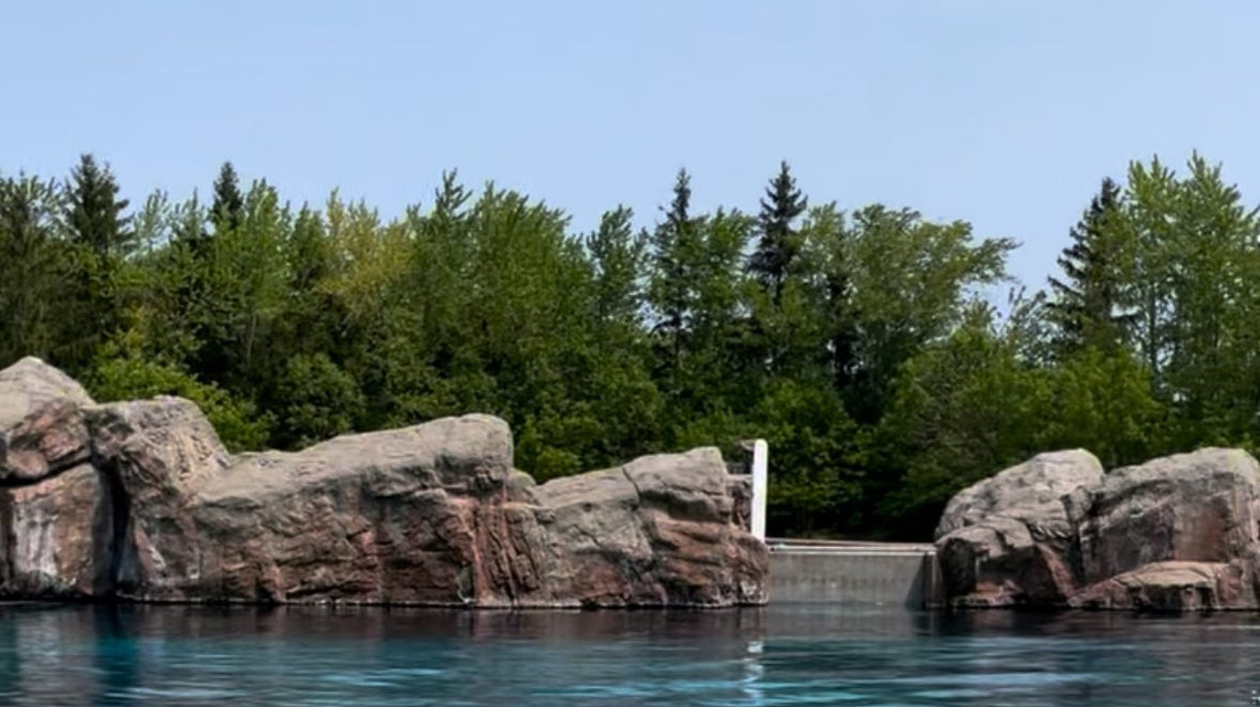 Remaining beluga whales at Canada's Marineland to find new homes in US 