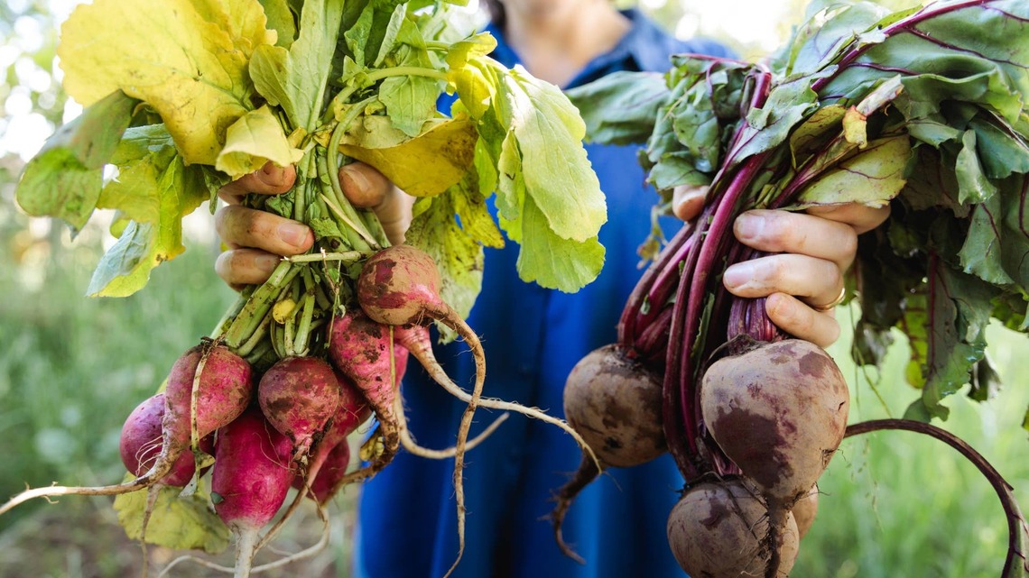 Why Nitrates in Beets Can Actually Affect Performance 