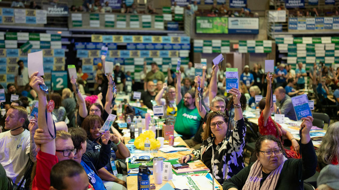 Volunteer network born during immigration crackdown becomes Democratic organizing force 