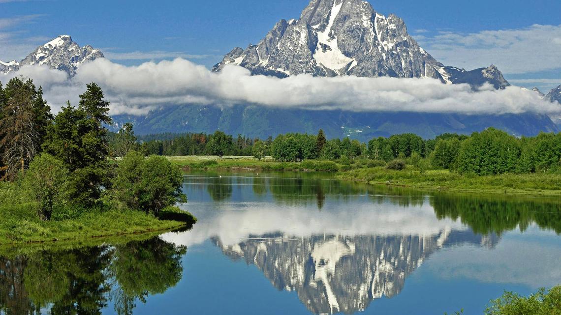 Robotic Birds Are Headed to This National Park 