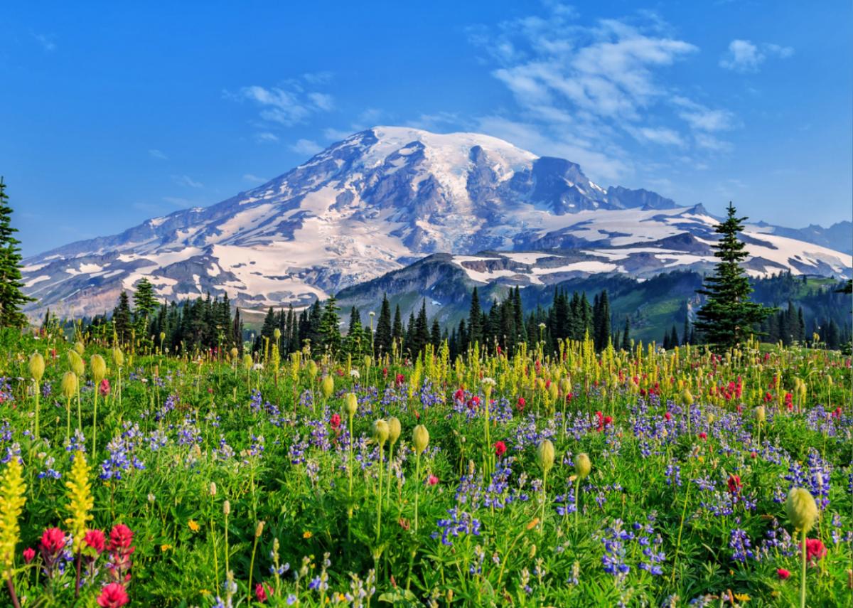  Diane Fetzner // Shutterstock 
