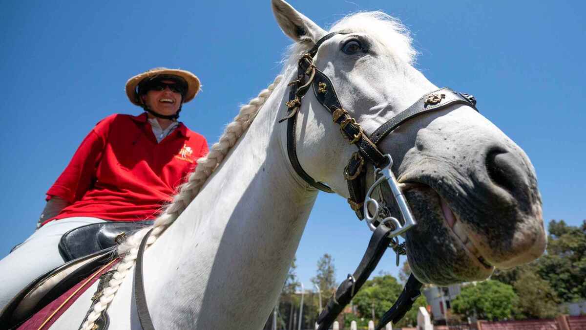 Meet Traveler XI – the latest in a line of USC's noble mascots