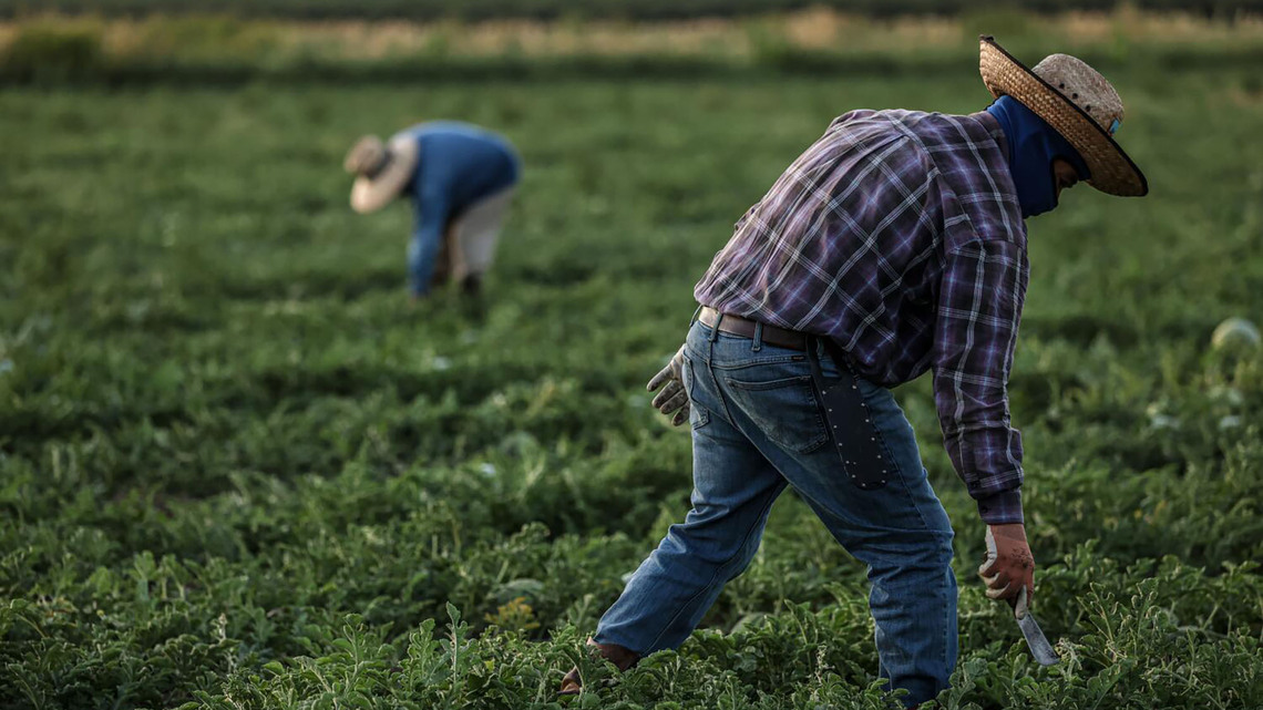 Trump administration's wage cuts for seasonal farmworkers is unlawful, federal judge in California rules 