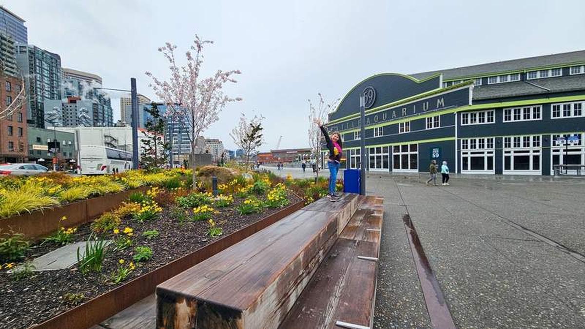  My daughter enjoying the cherry blossom trees in front of the Seattle Aquarium. Photo credit: Phylicia Stitzel 