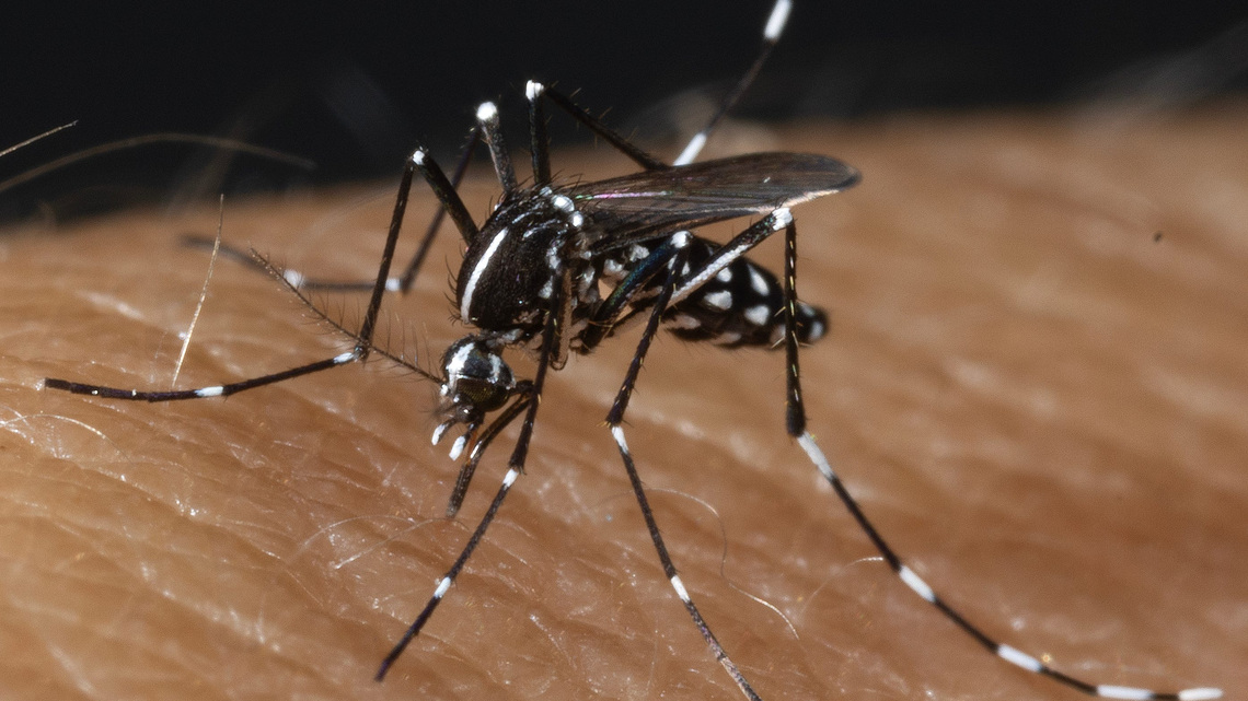 Amendment 3 strips money to fund for mosquito control, opponents say
