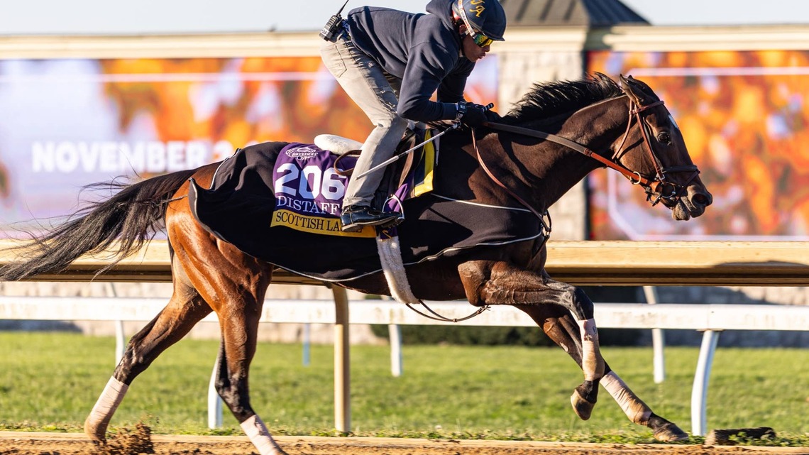 Scottish Lassie Scratched From Distaff; Go For Launch Out Of Juvenile Fillies Turf 