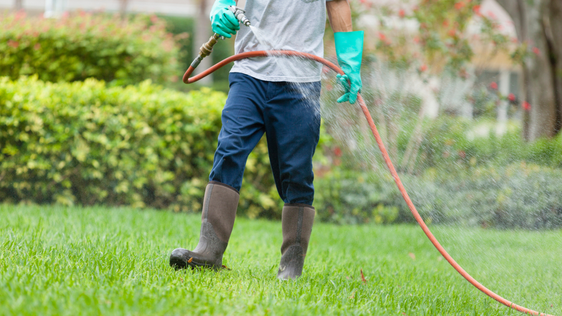 The Lawn Fertilizing Schedule Experts Swear By for Greener Grass 